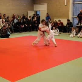 IMG 3075  Small - Judoclub Zaventem 